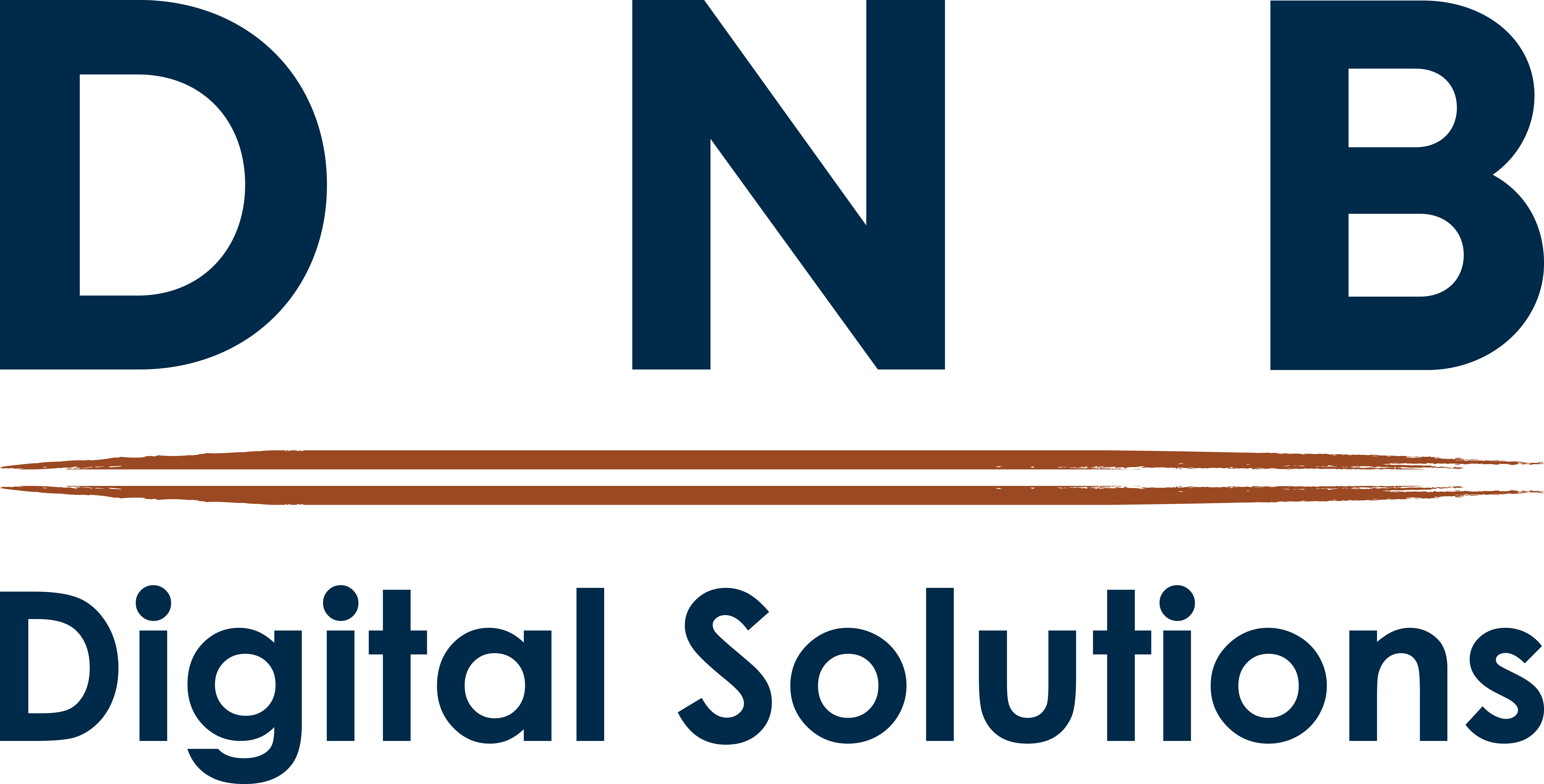 dnbdigisolutions.com